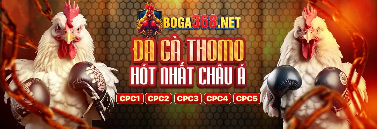 Đá Gà Trực Tuyến á88 - Sân Chơi Kịch Tính