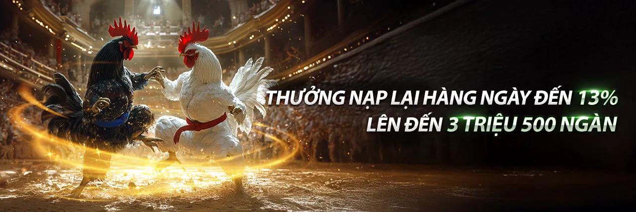 Chương Trình VIP á88 - Đặc quyền dành cho hội viên cao cấp